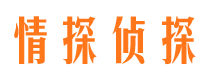 山南市出轨取证